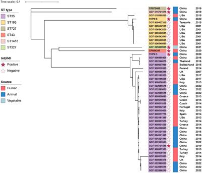 Characterization of two multidrug-resistant Klebsiella pneumoniae harboring tigecycline-resistant gene tet(X4) in China